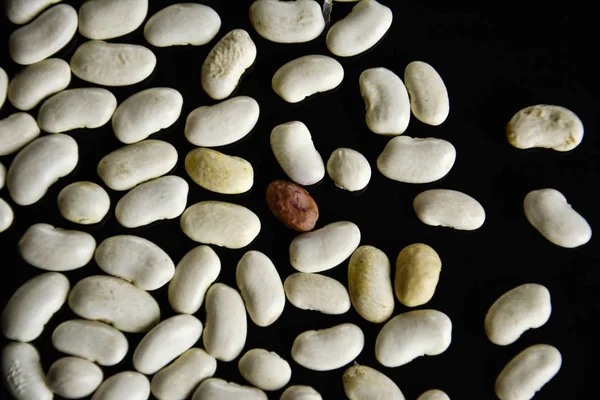 white beans are scattered on the black surface, among them one brown bean