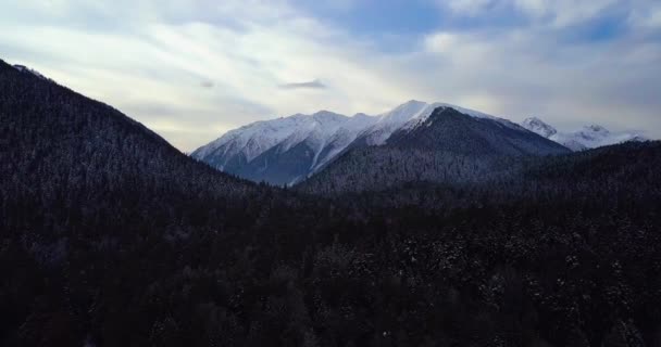 Belo panorama matinal na floresta de montanhas — Vídeo de Stock