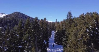 Erkekler skitour derin karda ormanda gitmek