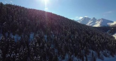 Dağlar orman örtüsünü açmak atış.