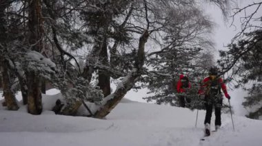 Skitouring derin kar ormandaki adamlar
