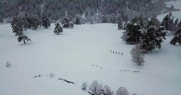 Чоловіки ходять на ковзанах у глибокому сніжному лісі — стокове відео
