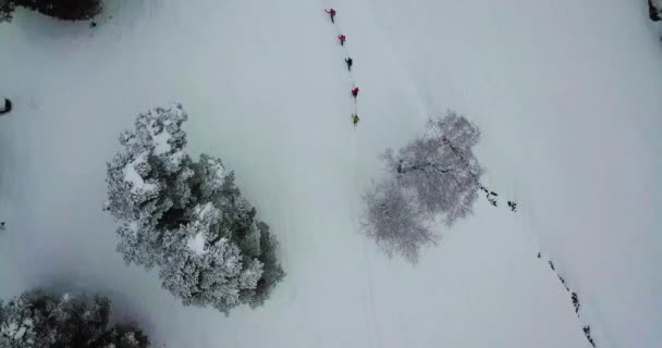 Los hombres hacen skitour en un profundo bosque de nieve — Vídeos de Stock