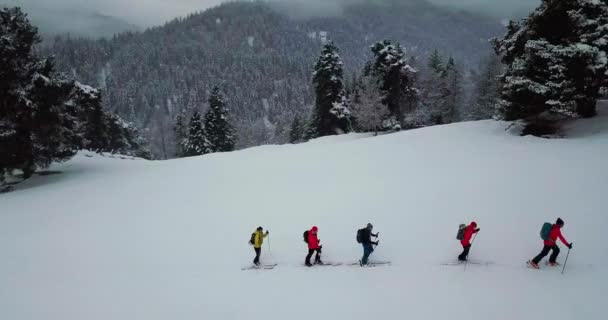 Férfiak megy skitour mély hóban erdő — Stock videók
