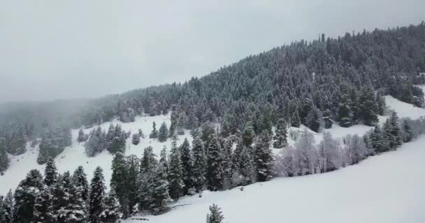 Beautiful morning panorama on mountains — Stock Video