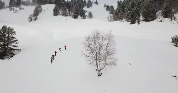 Los hombres hacen skitour en un profundo bosque de nieve — Vídeos de Stock