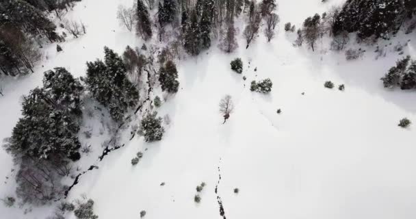 Tiro Floresta Das Montanhas Pela Manhã Filmado Por Drone — Vídeo de Stock