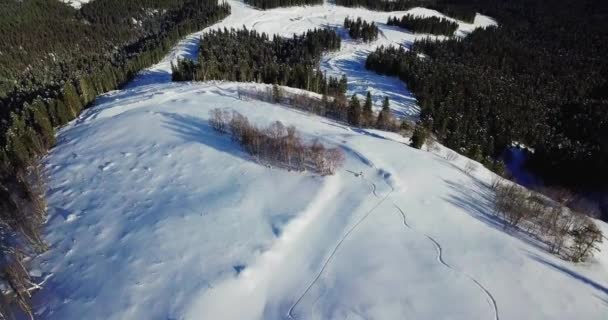 Les hommes skient en haute montagne — Video