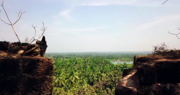 Costa Tropical Filmado Por Drone — Vídeo de stock