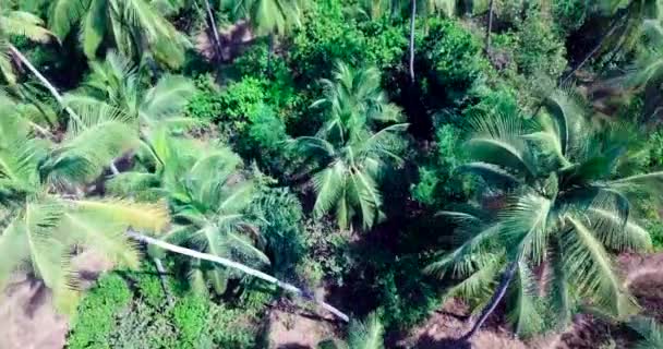 Tropické pobřeží. DRONY shot. — Stock video