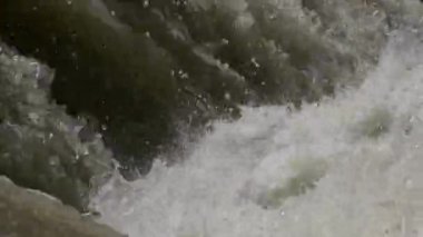 Dağ Ormanı Nehri