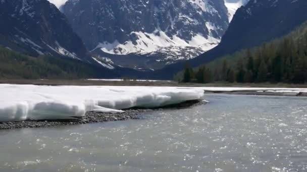 Гірська річка ліс — стокове відео