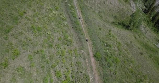 Ciclistas de montaña en las montañas de Altay — Vídeo de stock