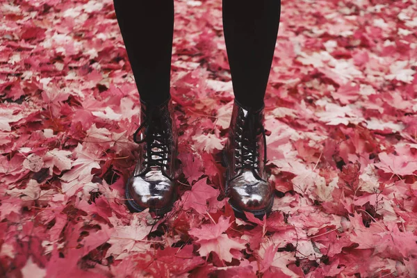 Stylish Laarzen Een Achtergrond Het Herfst Bos — Stockfoto