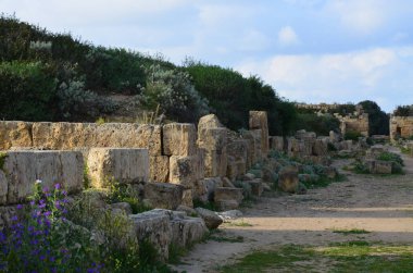 Selinunte sit alanı, Sicilya