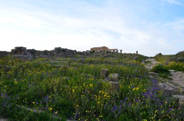 Selinunte sit alanı, Sicilya