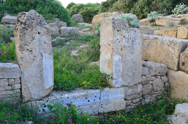 Selinunte sit alanı, Sicilya