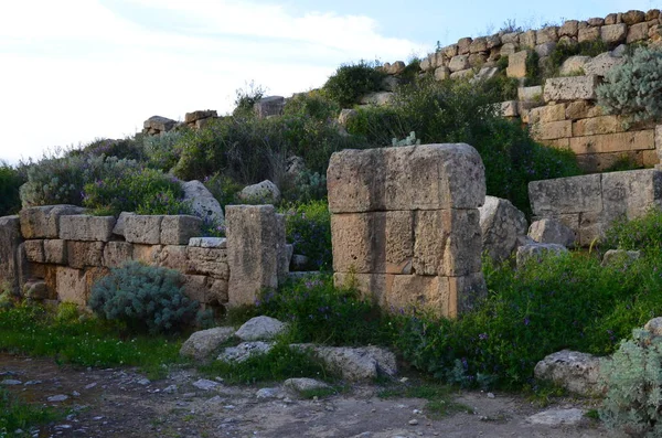 Sitio Arqueológico Selinunte Sicilia — Foto de Stock