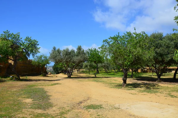 Tapınaklar Vadisi, Agrigento, Sicilya, İtalya