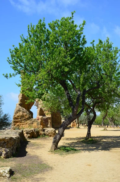 Doliny Świątyń Agrigento Sycylia Włochy — Zdjęcie stockowe