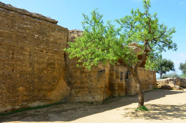 Tapınaklar Vadisi Agrigento Sicilya Talya — Stok fotoğraf