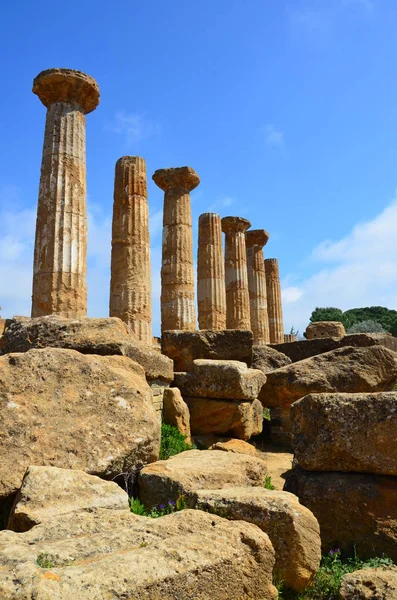 Herkül Tapınağı Antik Sütunlar Talya Sicilya Agrigento — Stok fotoğraf