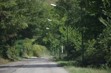 Bahar: kırsal peyzaj - Basilicata