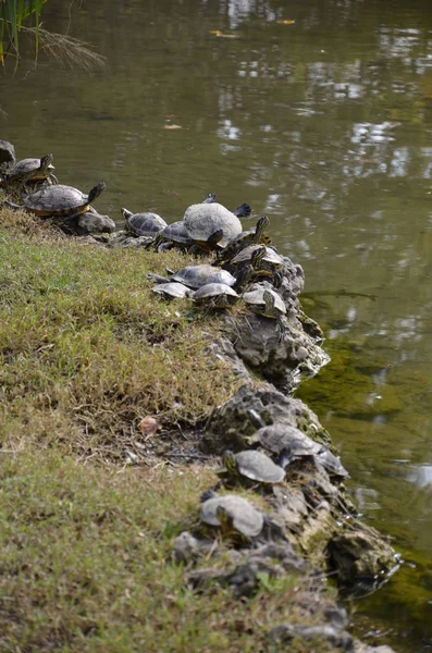 Parco Sempione Milano — Stockfoto