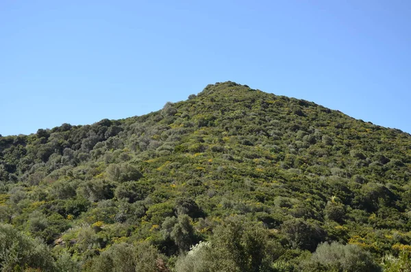 Malownicze Krajobrazy Zachodniej Sardynii — Zdjęcie stockowe