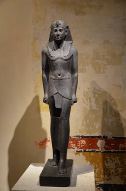 Berlin 'deki Neues Müzesi