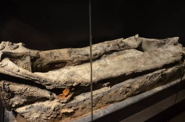 Berlin 'deki Neues Müzesi