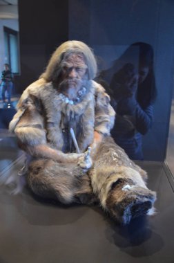 Berlin 'deki Neues Müzesi