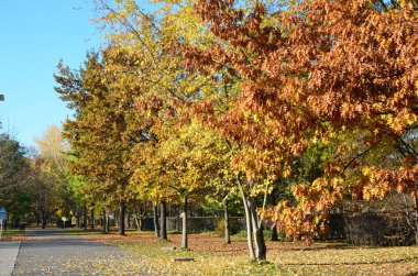 Tiergarten Parkı, Berlin