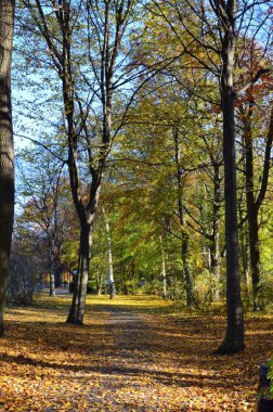 Tiergarten Parkı, Berlin