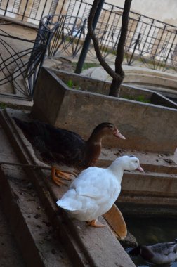 Sciacca Sicilya Park