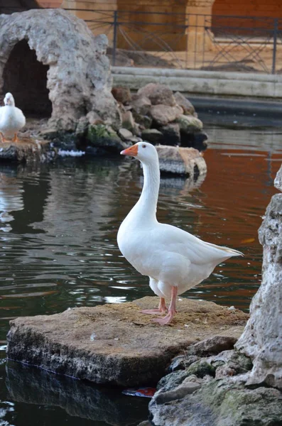 Sciacca Sicilya Park — Stok fotoğraf