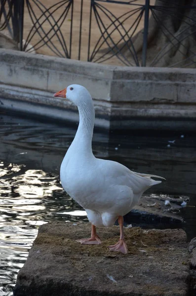 Parque Sciacca Sicília — Fotografia de Stock