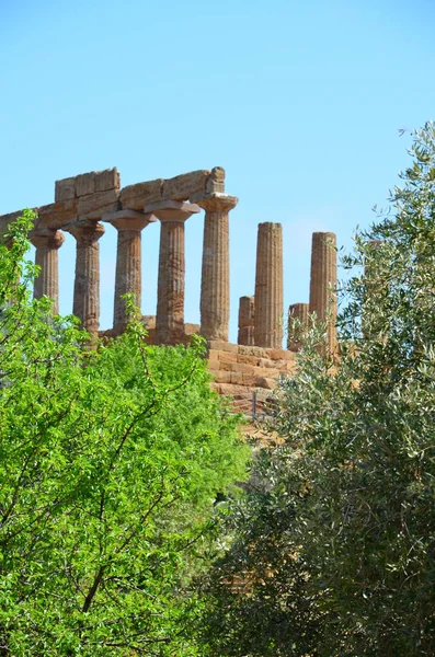 Antik Yunan Tapınağı Juno Vadisi Tapınağı Agrigento — Stok fotoğraf