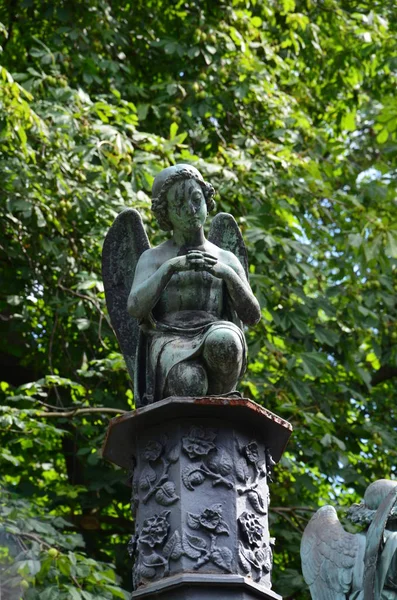 Old Cemetry Heart City Kassel Germany — Stock Photo, Image