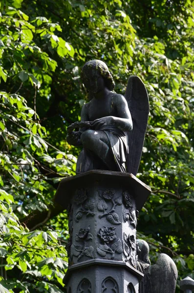 Old Cemetry Heart City Kassel Germany — Stock Photo, Image