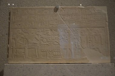 Berlin'de Neues Museum