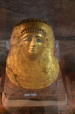 Berlin'de Neues Museum