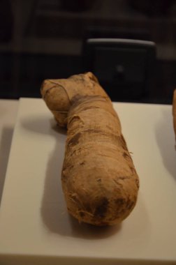 Berlin'de Neues Museum