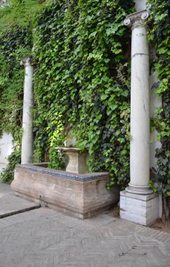 Real Alcazar De Sevilla 'da süs havuzlu bir avlu.