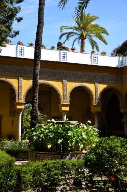 Seville, İspanya 03.25.2019 Palacio de las Dueas 'ın avlusu, Alba Dükleri Sarayı