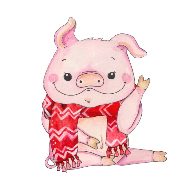 Chinese Jaar Van Het Varken Nieuwjaar Wenskaart Aquarel Cartoon Piggy — Stockfoto