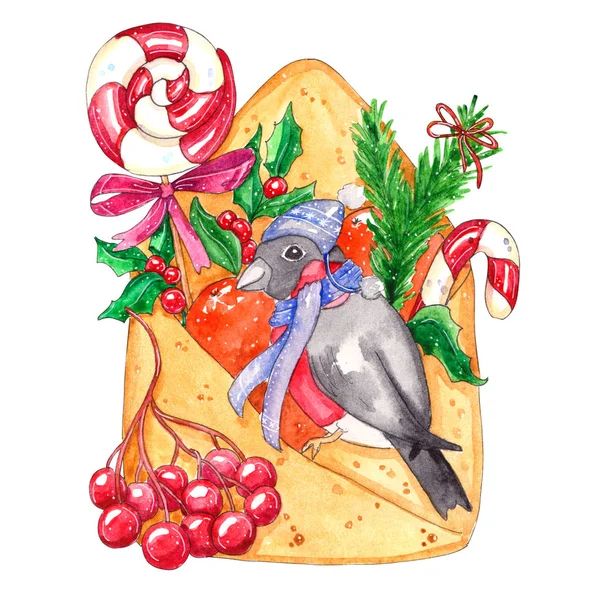 Aquarel Hand Getekend Kerstmis Illustratie Met Goudvink Lolly Rowanberry Sinaasappelen — Stockfoto