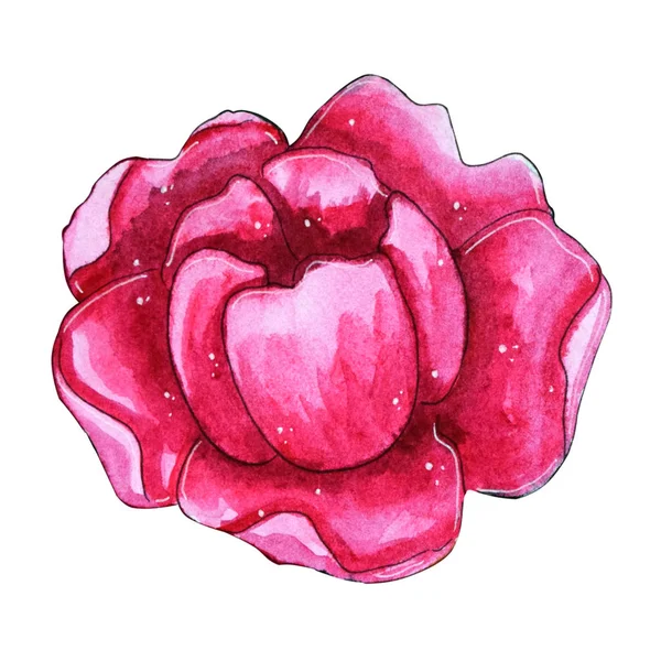 Aquarelle Peinte Main Fleurs Pivoines Roses Illustration Lumineuse Parfaite Pour — Photo