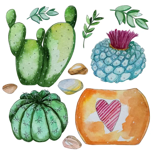 Aquarel Handbeschilderd Set Cactus Plant Pot Kiezels Aquarel Clipart Individuele — Stockfoto