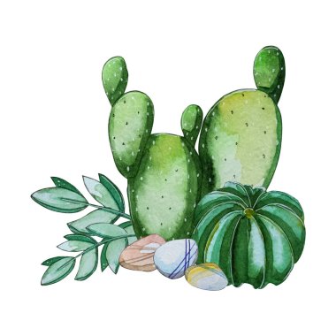 Suluboya handpainted kaktüs bitki kompozisyon. Suluboya clipart, bireysel çiçek beyaz arka plan üzerinde izole. Proje, kapak, duvar kağıdı, model, hediye kağıt, düğün için mükemmel